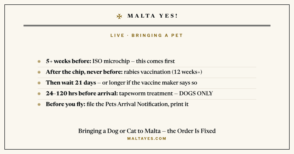 The fixed order for bringing a dog or cat to Malta: microchip first, then the rabies vaccination, then a 21-day wait, then tapeworm treatment for dogs only 24 to 120 hours before arrival, and the Pets Arrival Notification filed before you fly.
