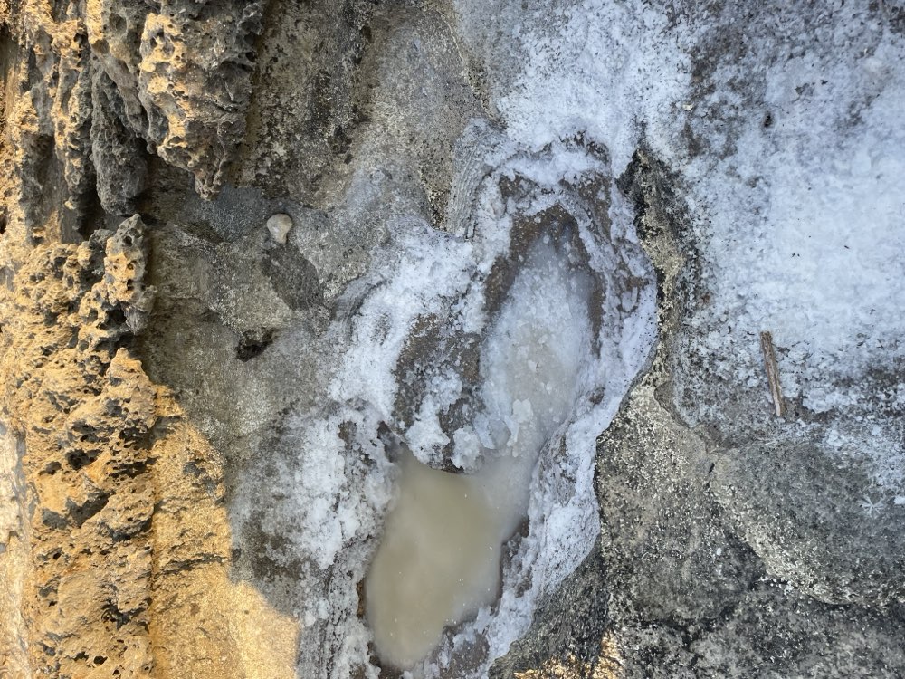 Sea-salt crystals forming in an old rock-cut salt pan at Dwejra, Gozo